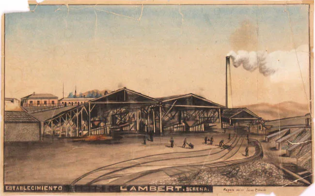 Planta Lambert