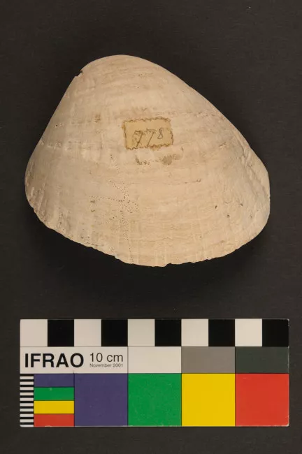 Recipiente