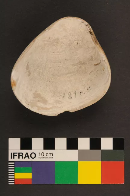 Recipiente