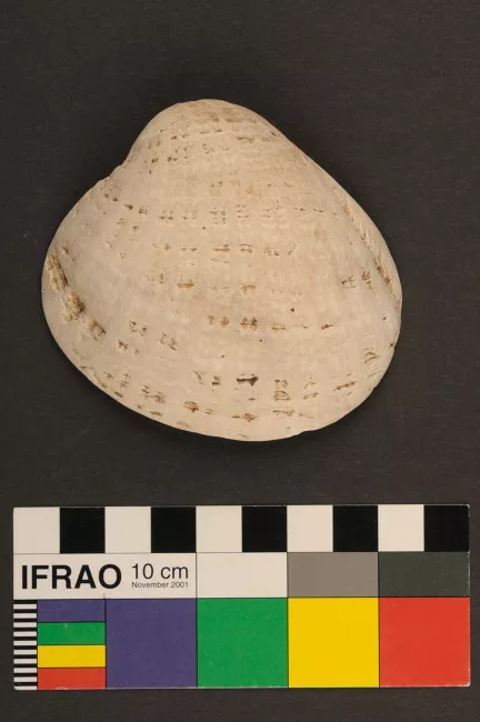 Recipiente