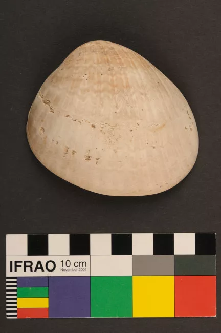 Recipiente