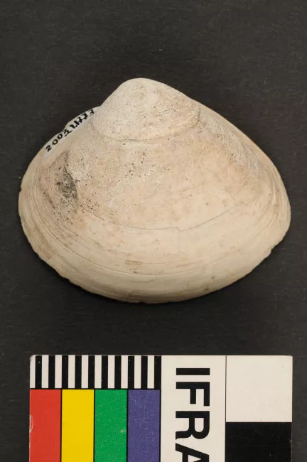 Recipiente