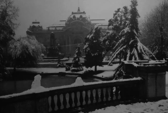 Museo Nacional de Bellas Artes V