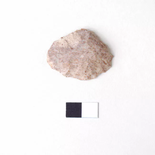 Raedera