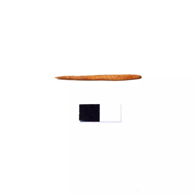 Palillo