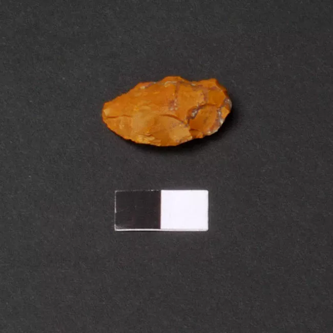 Raedera