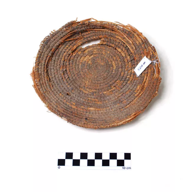 Cesta