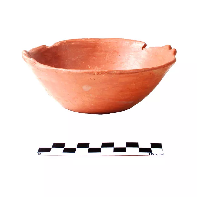 Escudilla