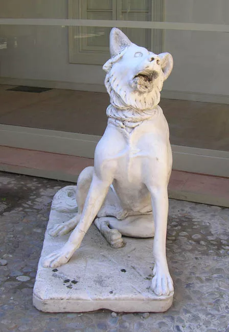 Perro Moloso