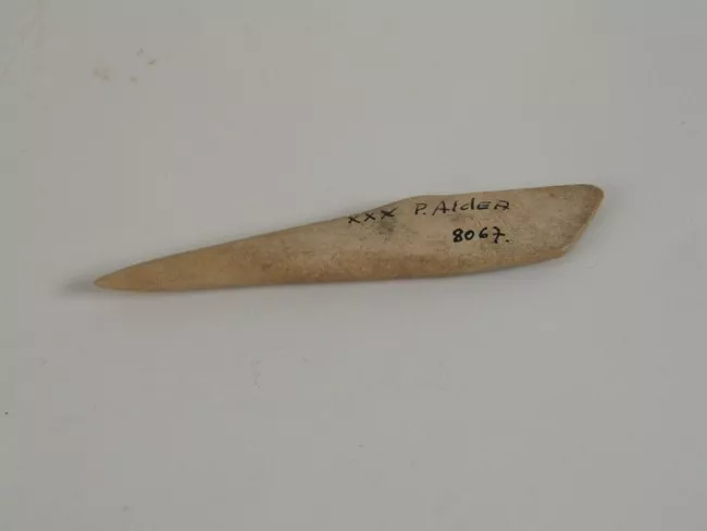 Espátula