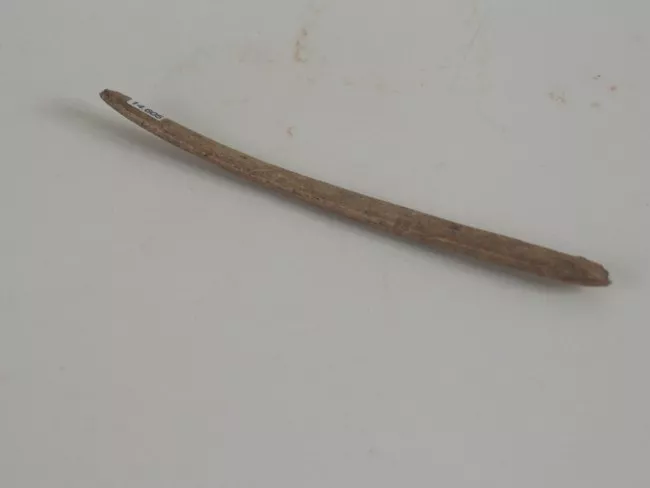 Espátula