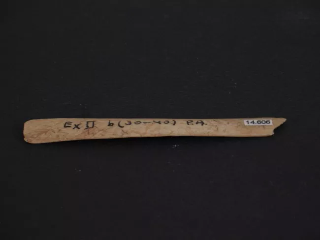 Espátula