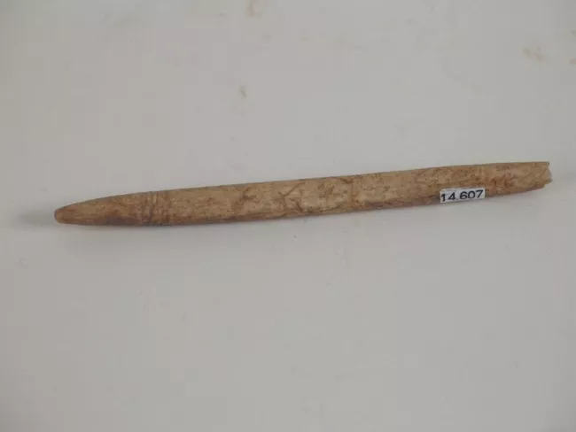 Cabezal de arpón