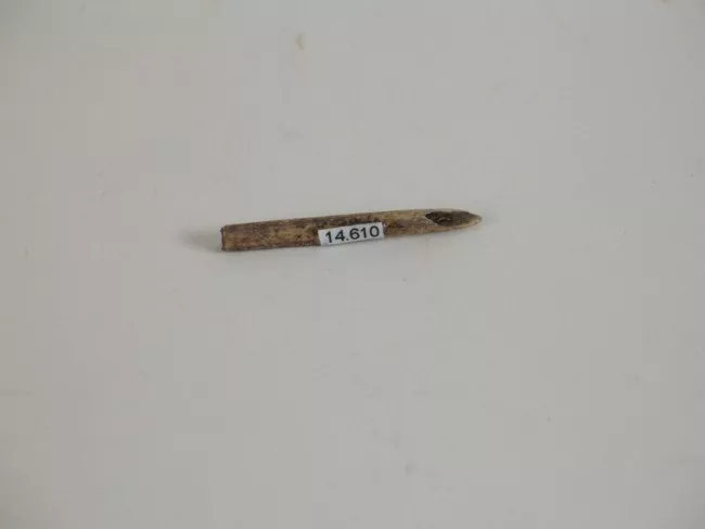 Aguja (arqueológico y etnográfico)
