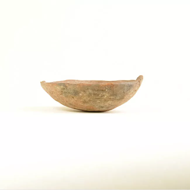 Escudilla