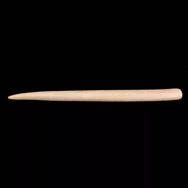 Espátula