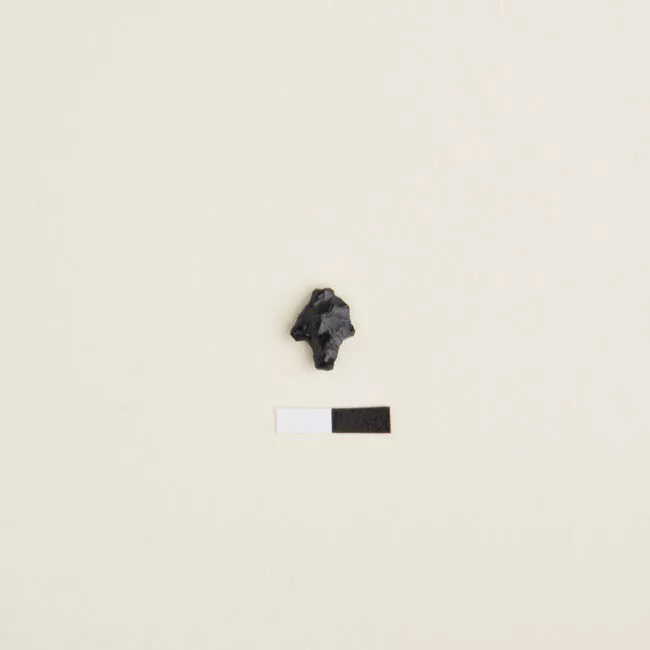 Micropunta de proyectil