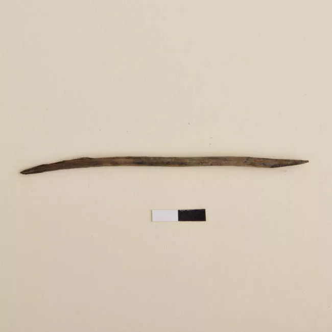 Aguja (arqueológico y etnográfico)