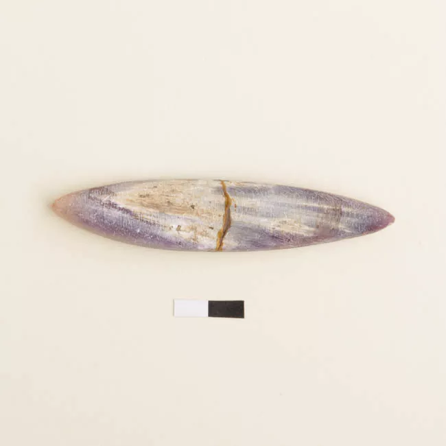 Pesa de pesca