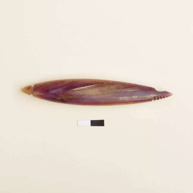 Cuerpo de anzuelo
