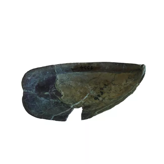 Artefacto