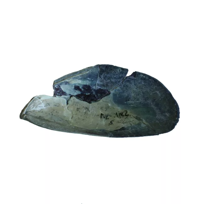 Artefacto