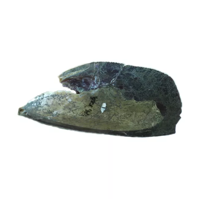 Artefacto