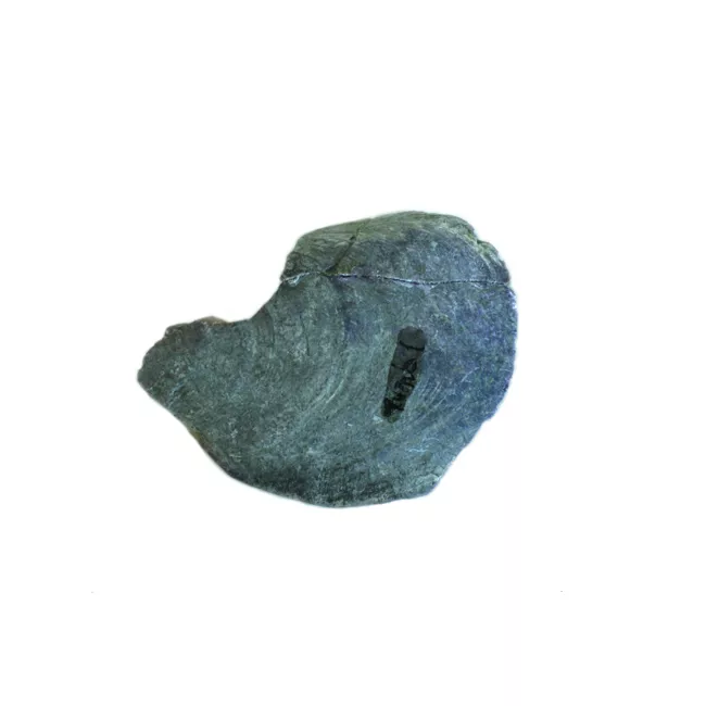 Artefacto