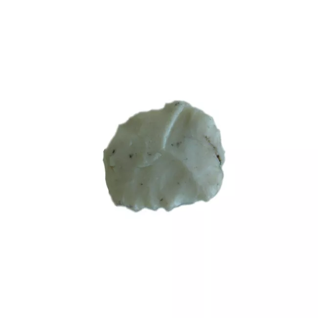 Raedera