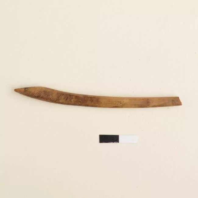 Barba de anzuelo