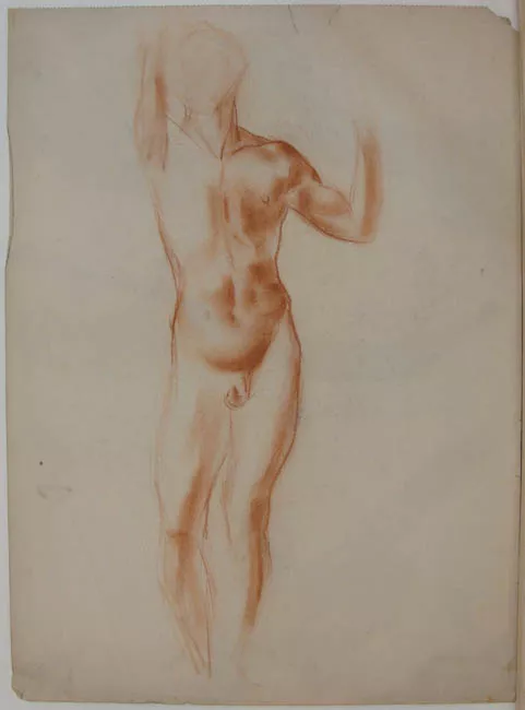Estudio figura masculina  vista frontal