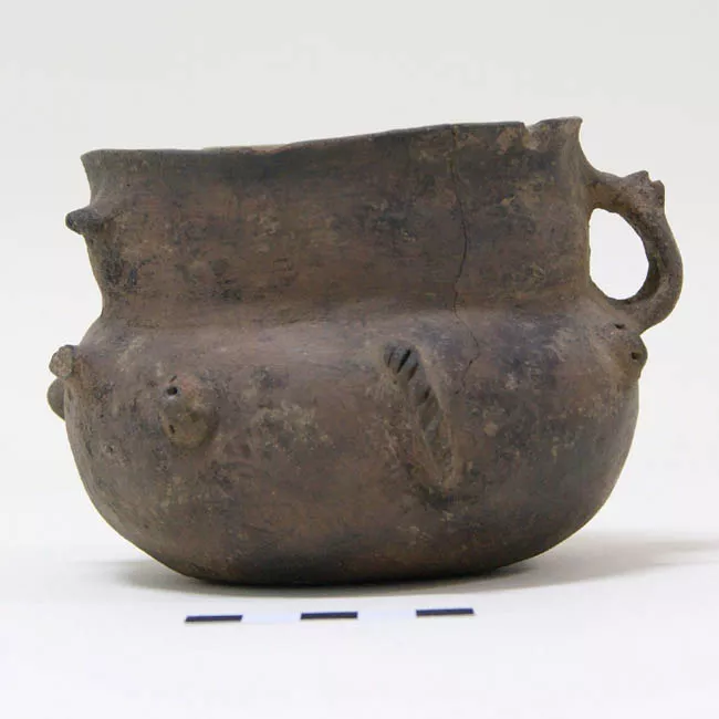 Olla