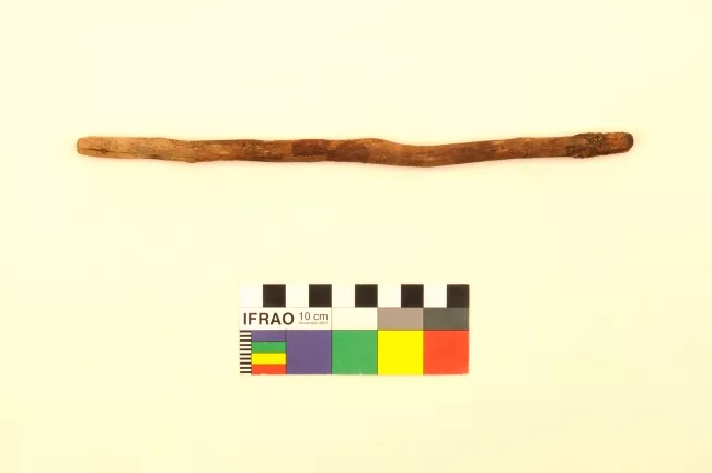 Barba de anzuelo