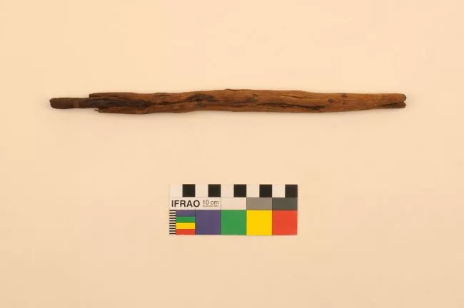 Barba de anzuelo