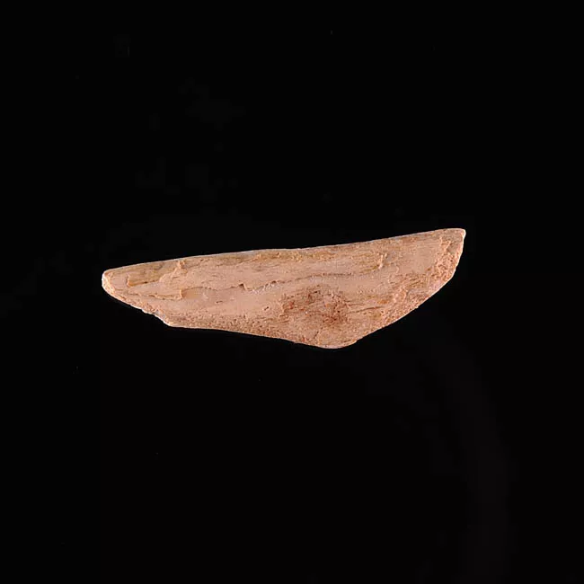 Barba de arpón