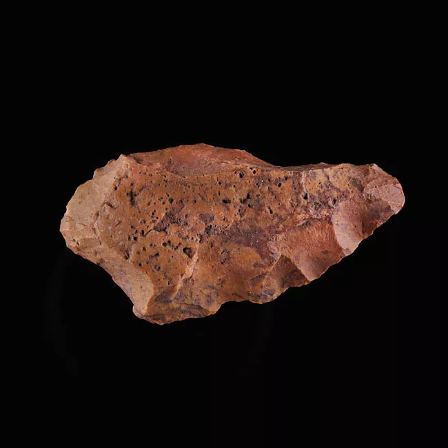 Raedera