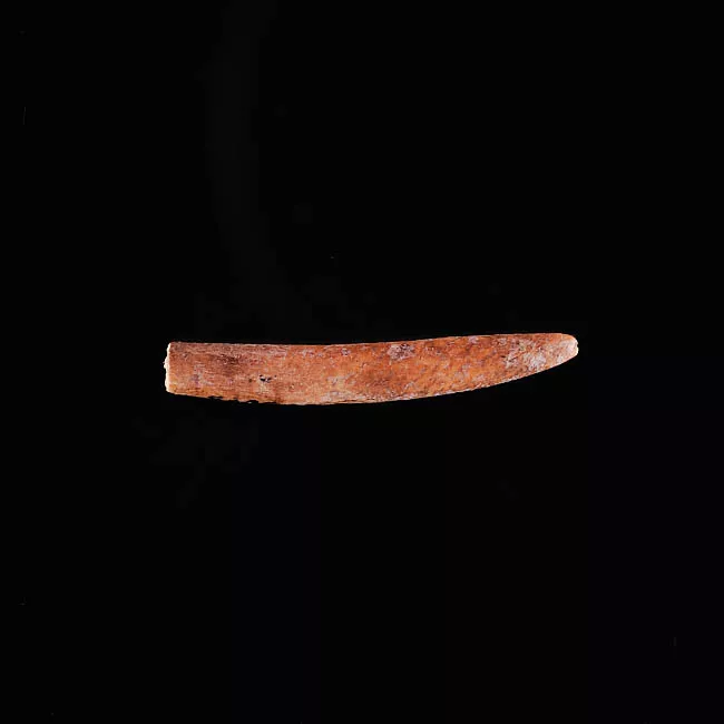 Barba de arpón