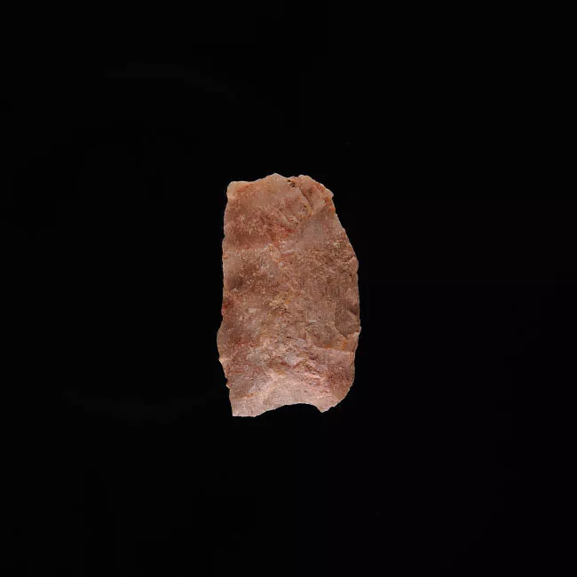 Punta de proyectil