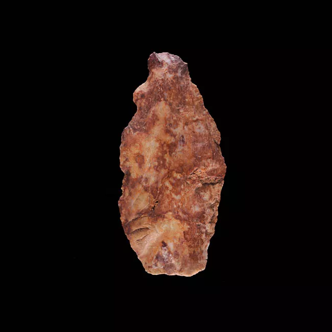 Raedera