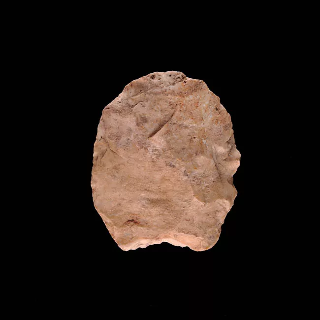 Raedera