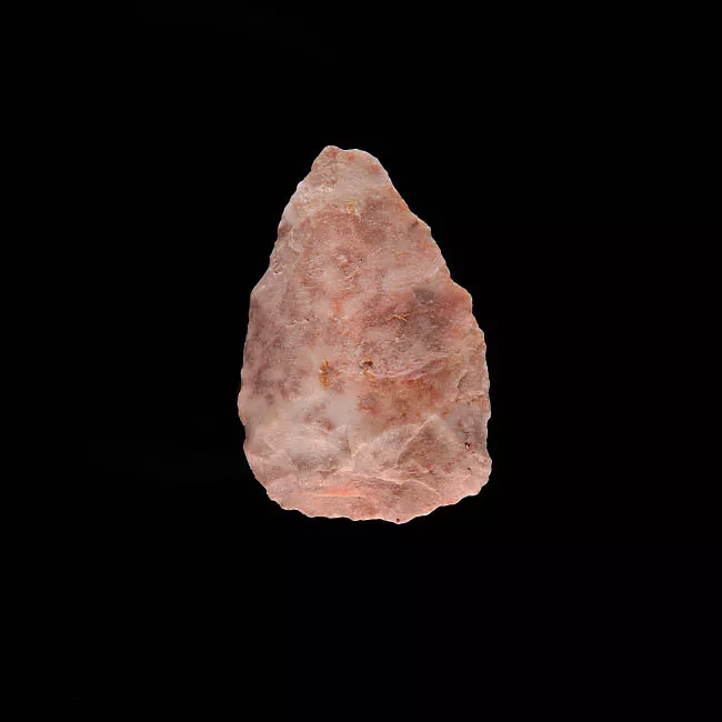Punta de proyectil