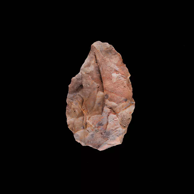 Raedera