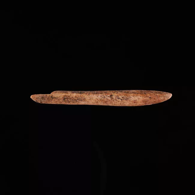 Barba de anzuelo