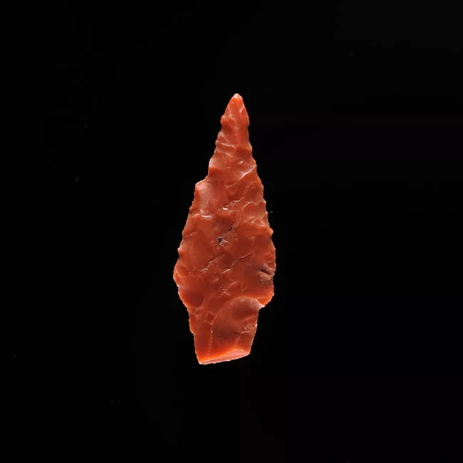 Micropunta de proyectil