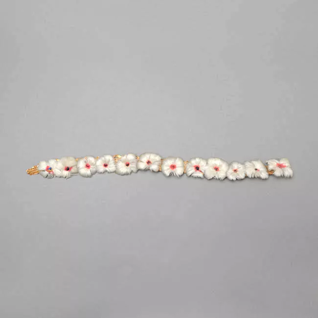 Diadema