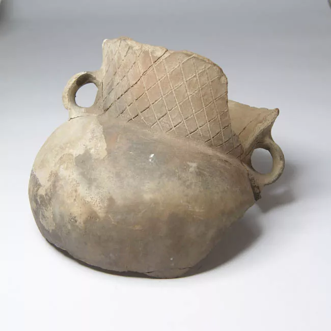 Olla