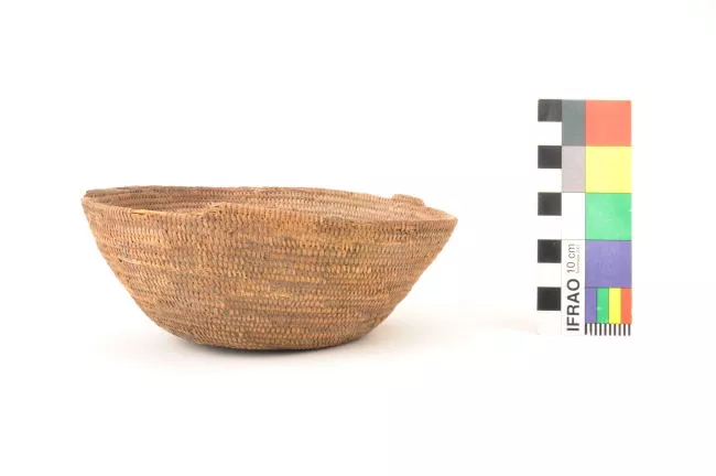 Cesta