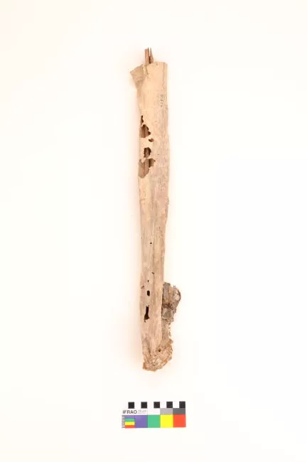 Carcaj