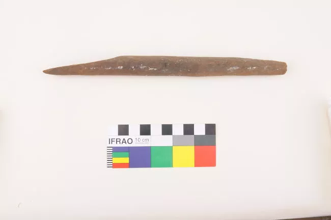Barba de anzuelo