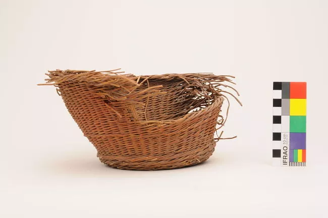 Cesta